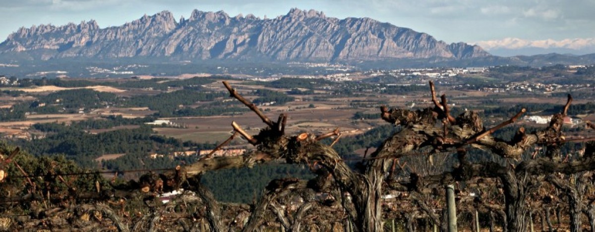 Imatge il·lustrativa