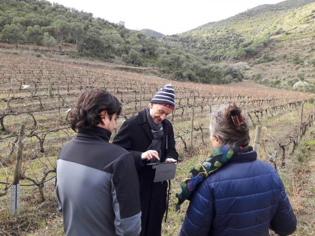 Imatge il·lustrativa