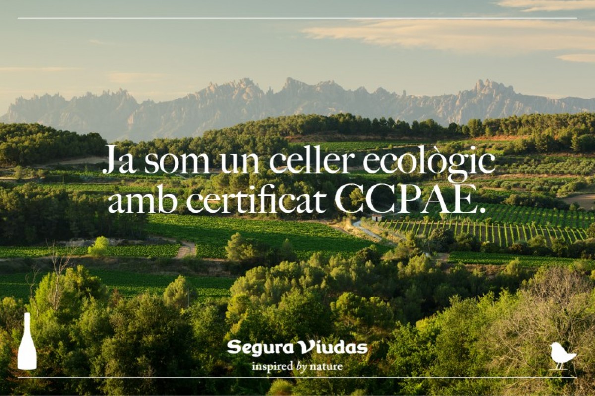 Imatge il·lustrativa