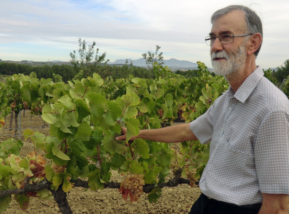 Imatge il·lustrativa