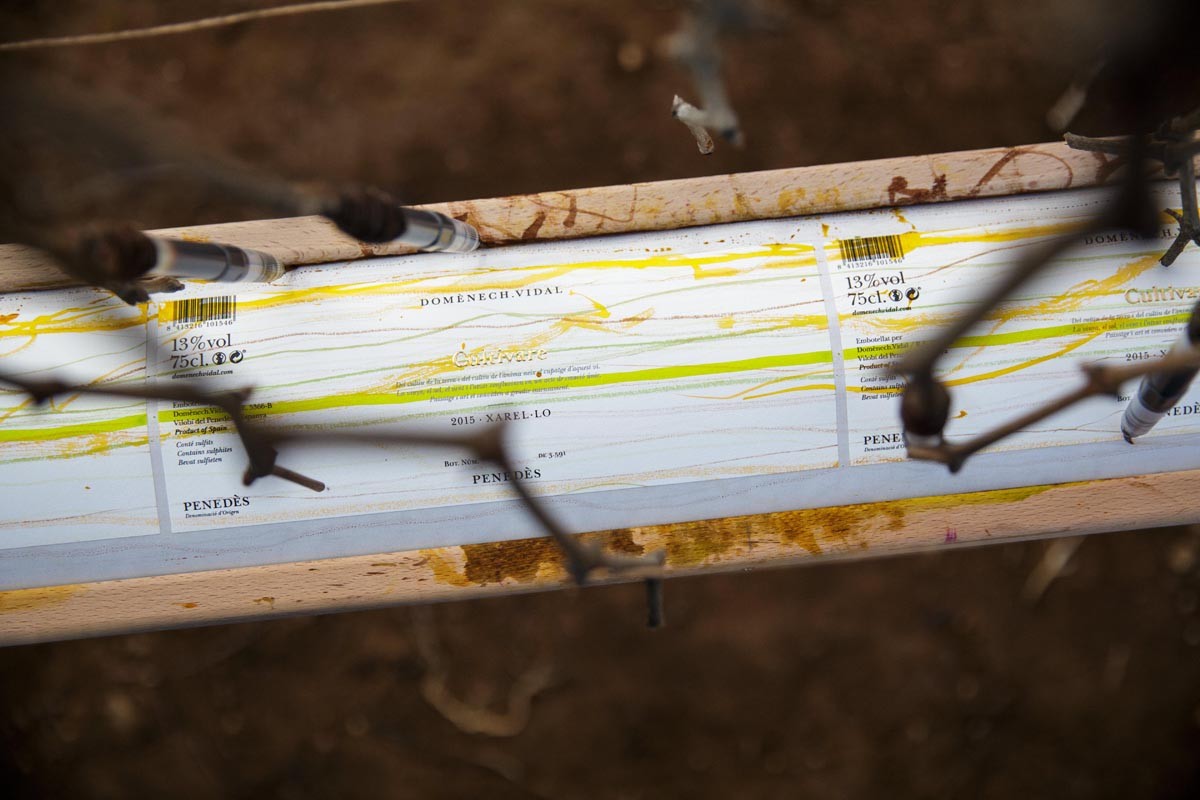 Imatge il·lustrativa