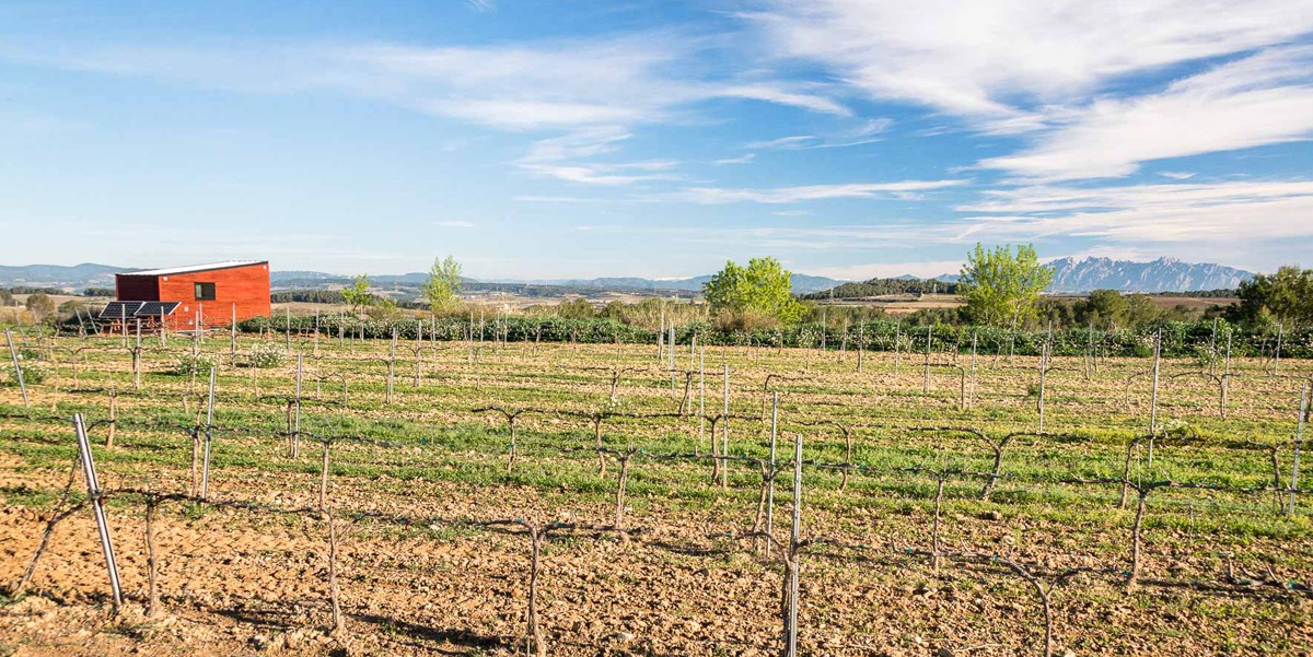 Imatge il·lustrativa