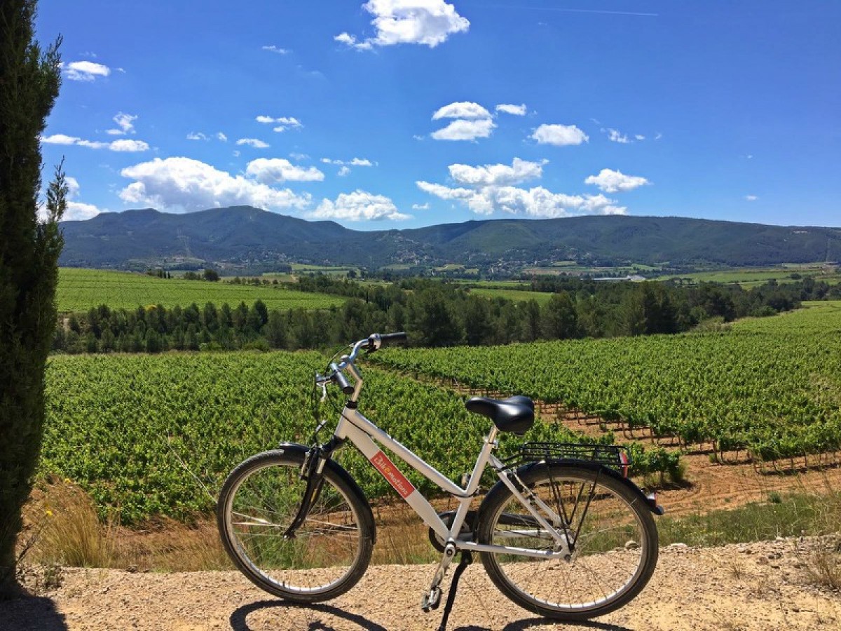 Imatge il·lustrativa