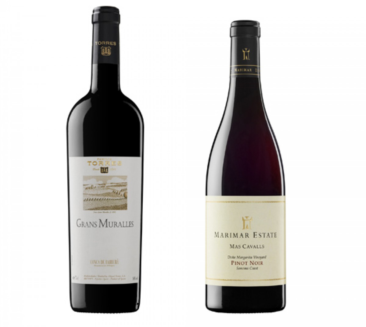 Imatge il·lustrativa