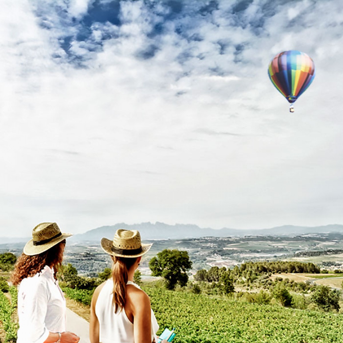 Imatge il·lustrativa