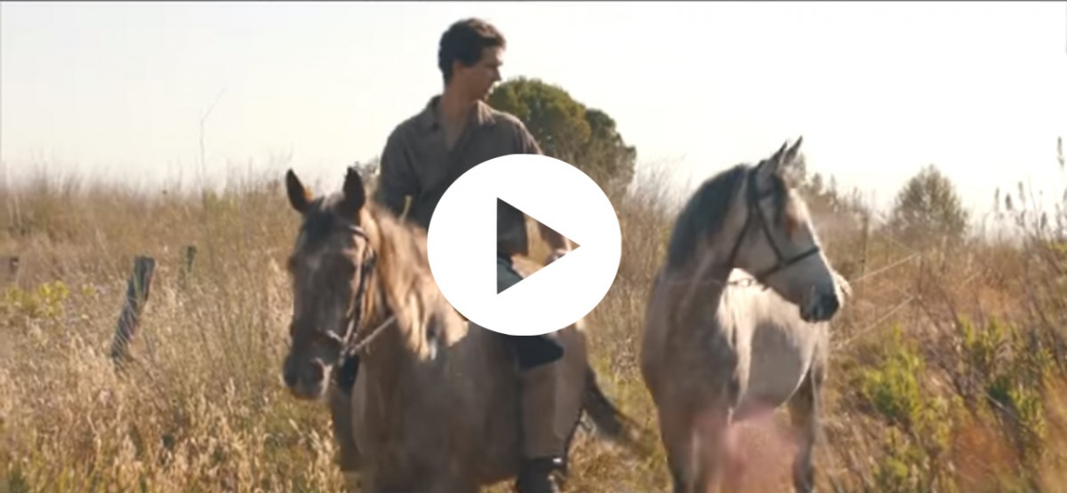 Imatge il·lustrativa