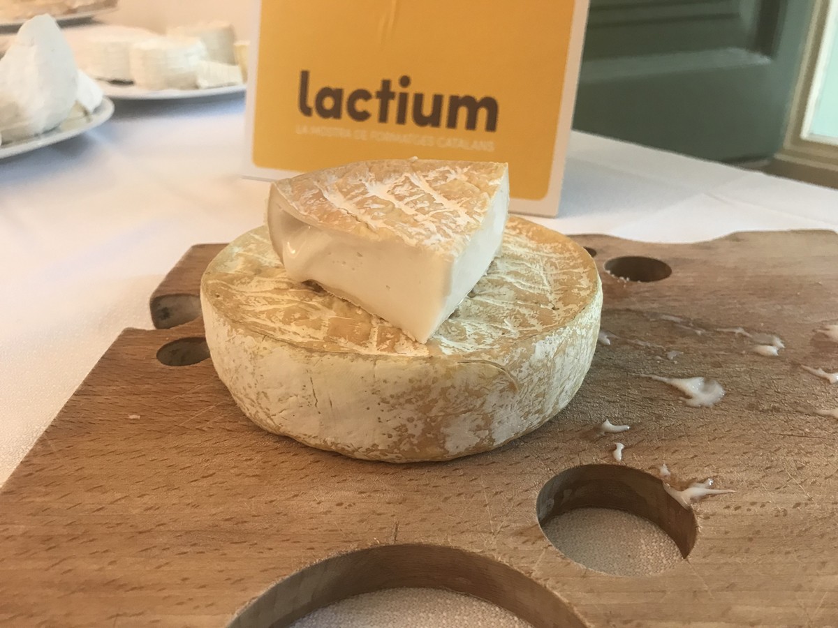 Imatge il·lustrativa