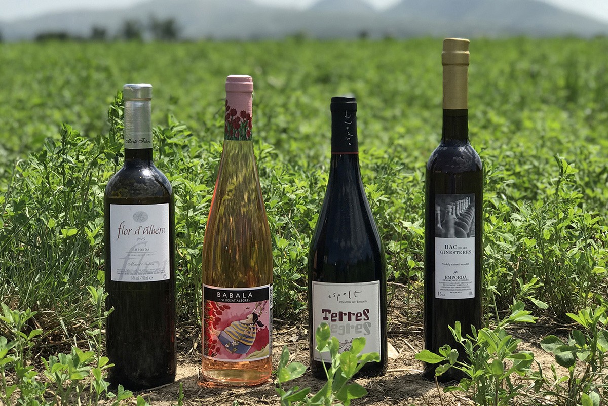 Imatge il·lustrativa