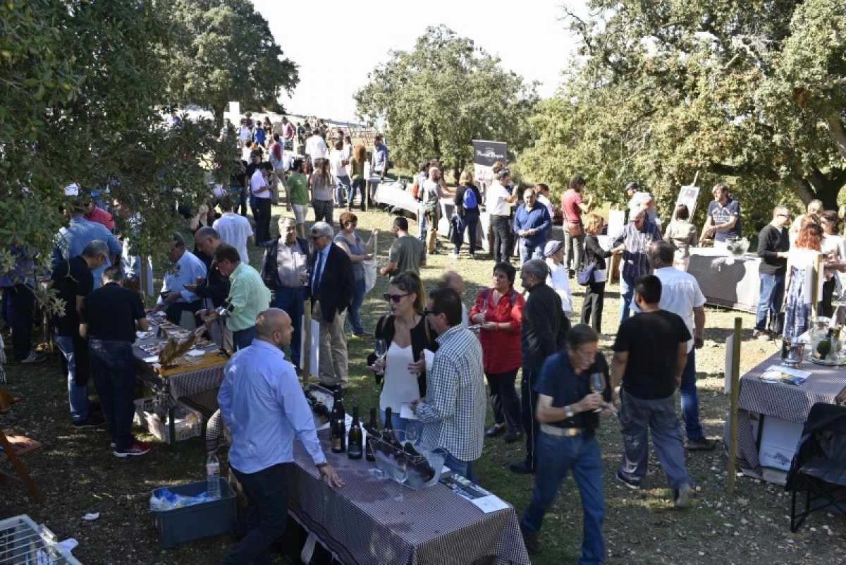 Imatge il·lustrativa