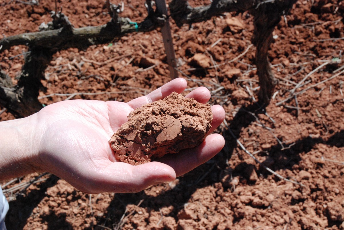 Imatge il·lustrativa