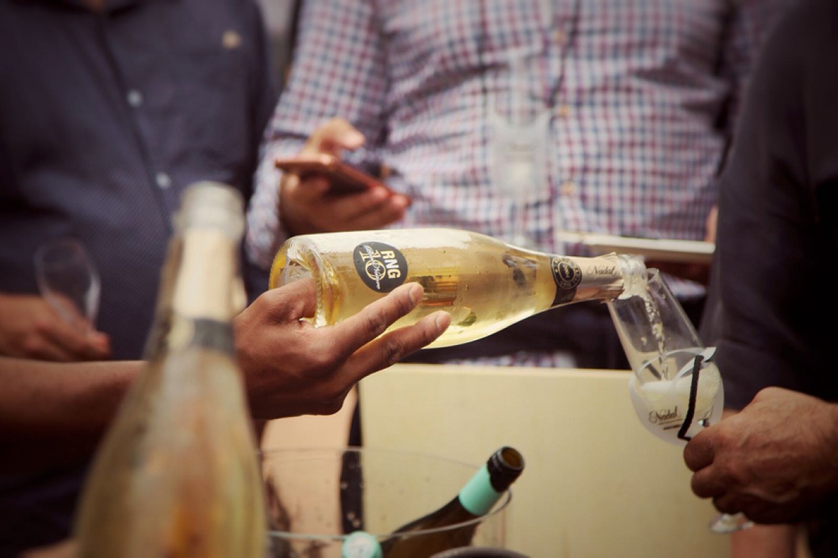 Imatge il·lustrativa