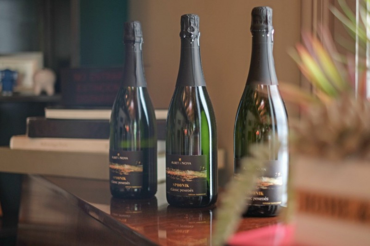 Imatge il·lustrativa