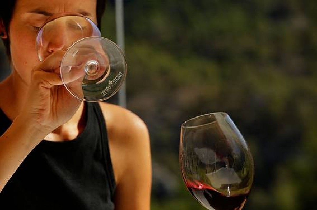 Imatge il·lustrativa