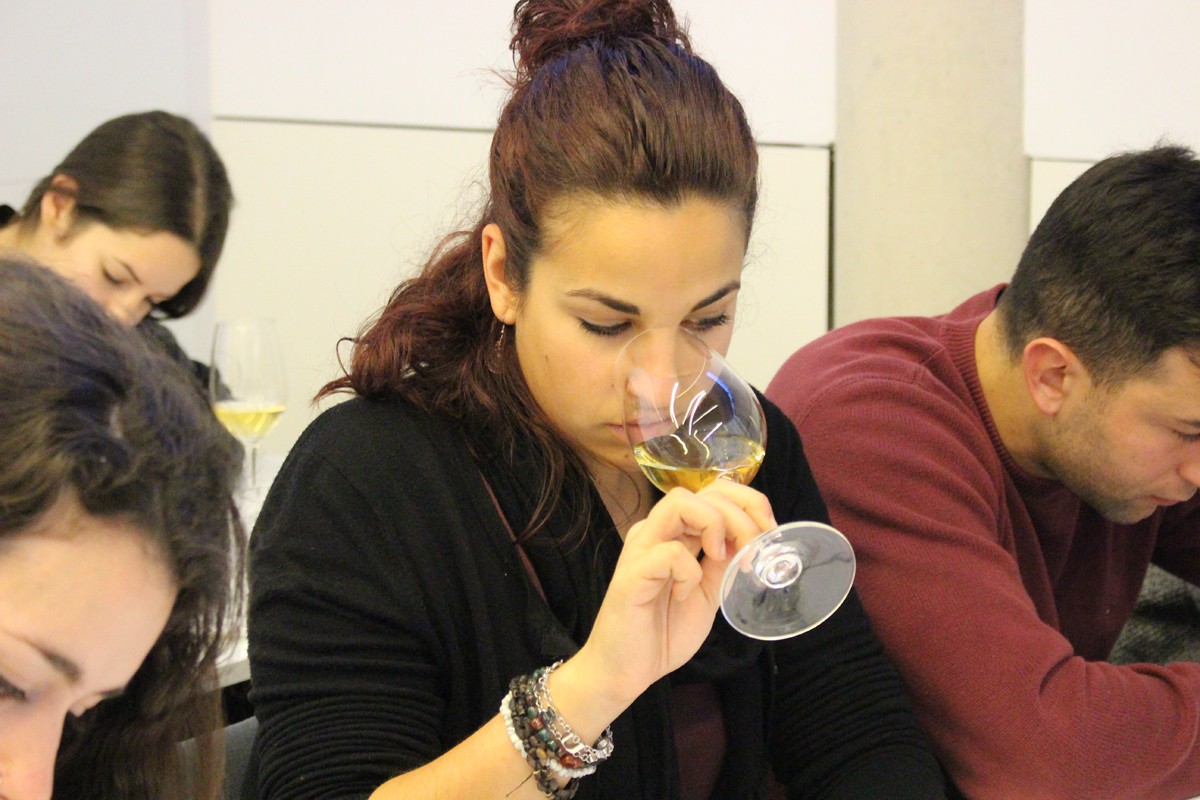 Imatge il·lustrativa