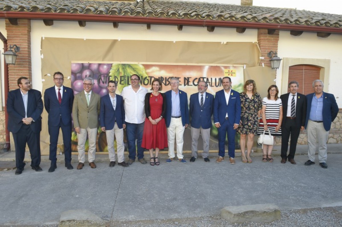 Imatge il·lustrativa