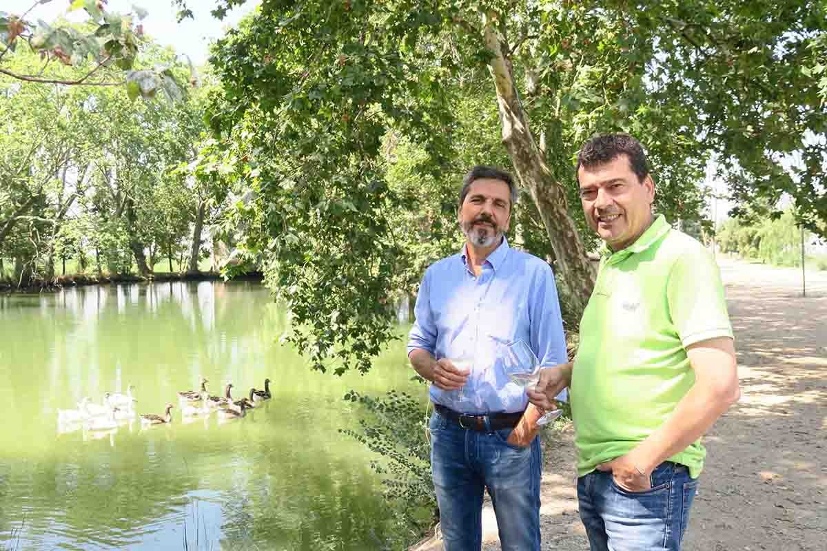 Imatge il·lustrativa