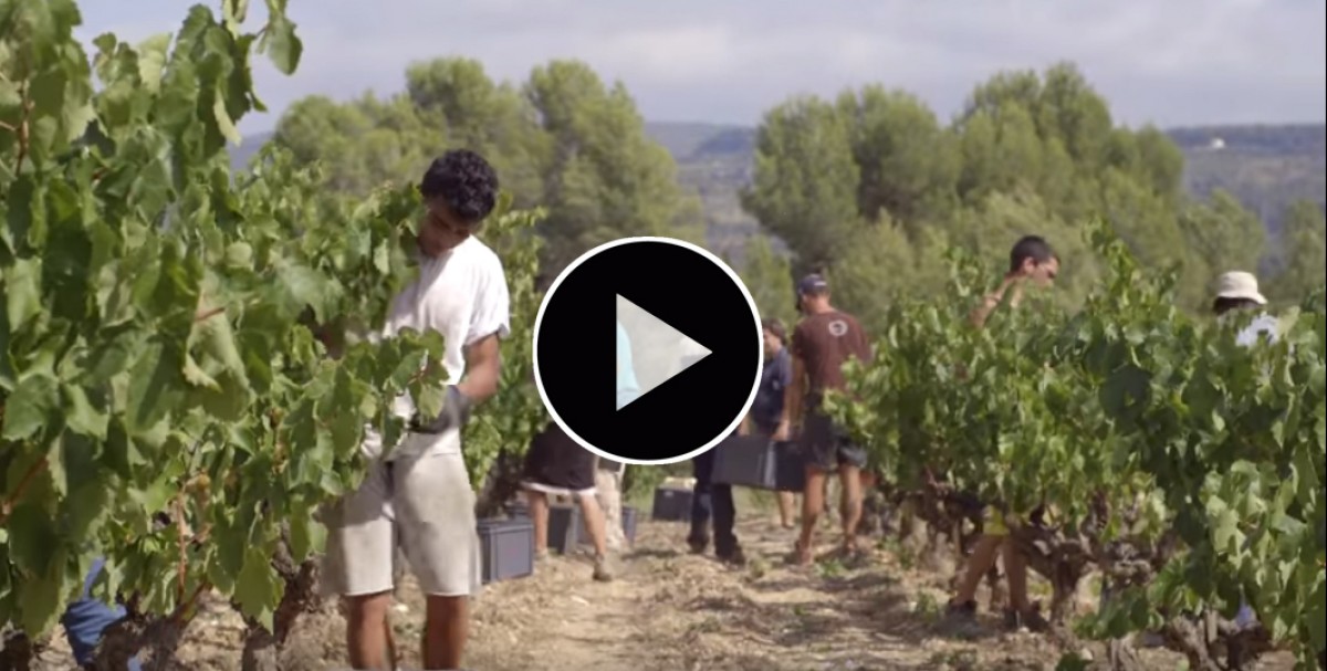 Imatge il·lustrativa