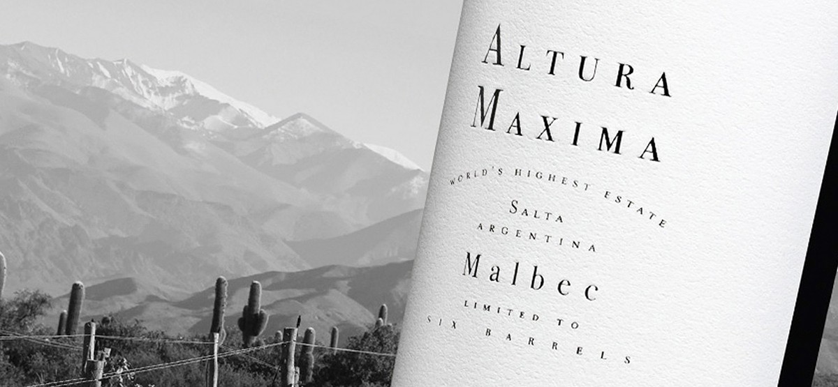 Altura Máxima, el vi més alt del món, d'una vinya de 3111 metres d'altitud