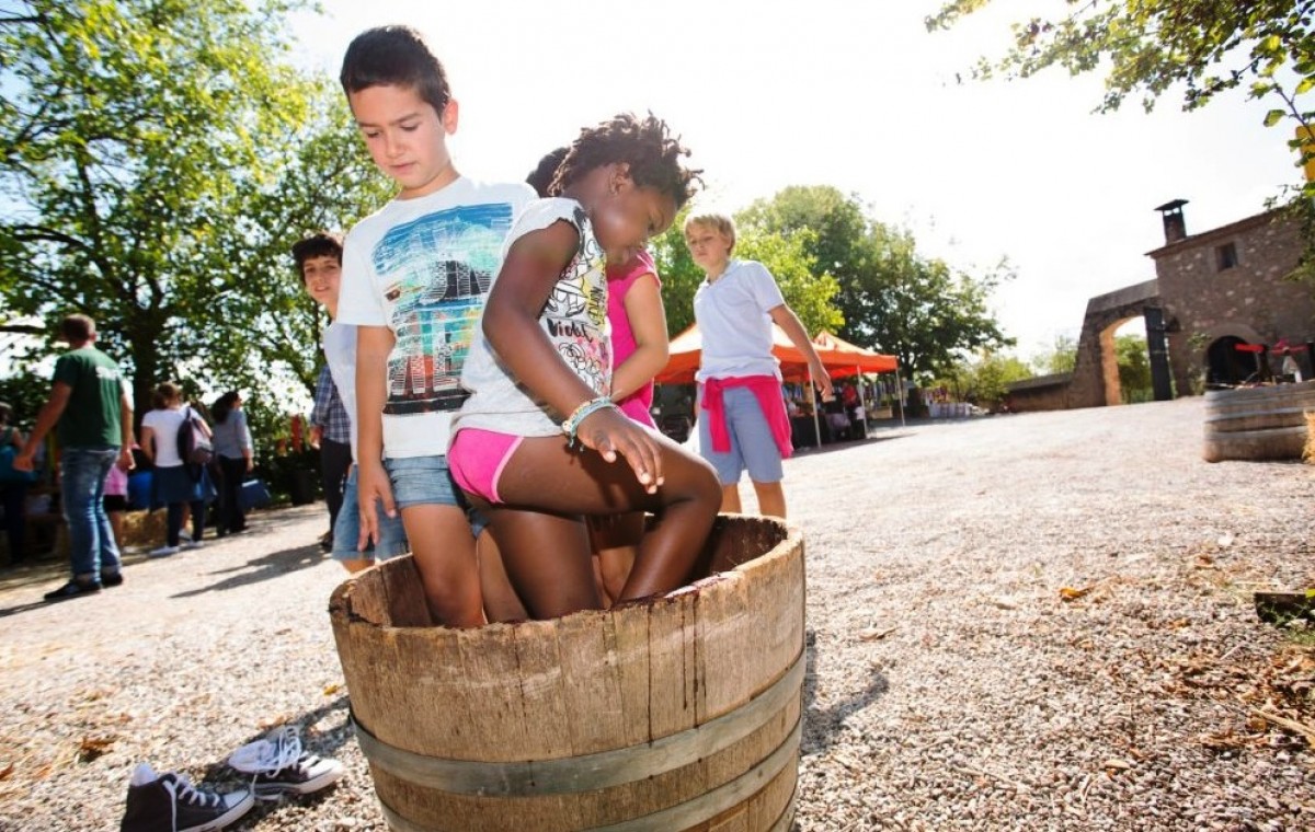 La Festa de la Verema de l'Oller del Mas tindrà lloc el cap de setmana del 22 i 23 de setembre