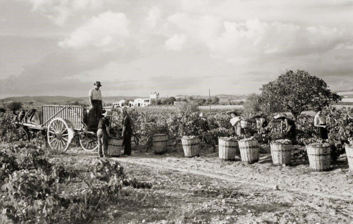 Imatge il·lustrativa