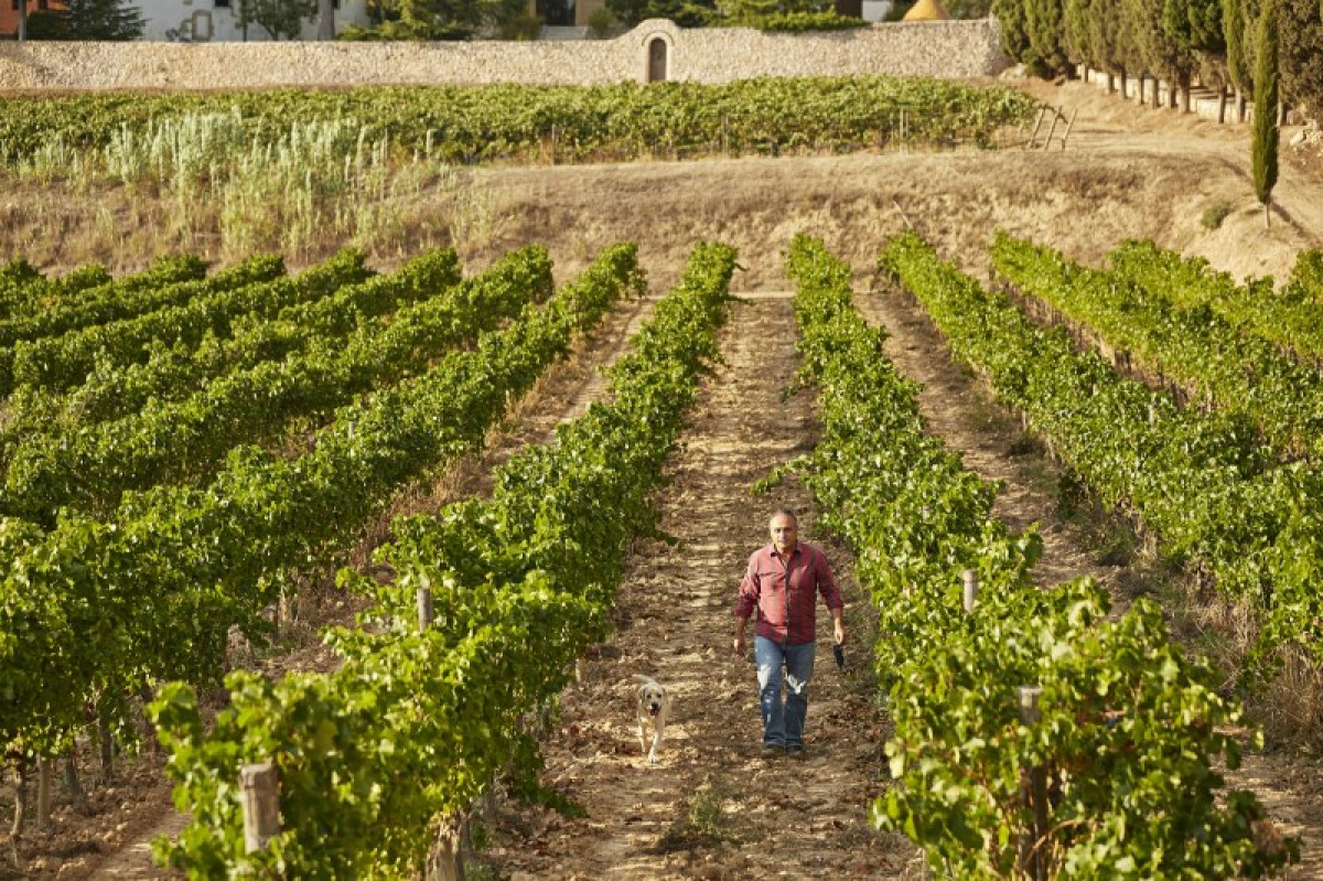 Imatge il·lustrativa