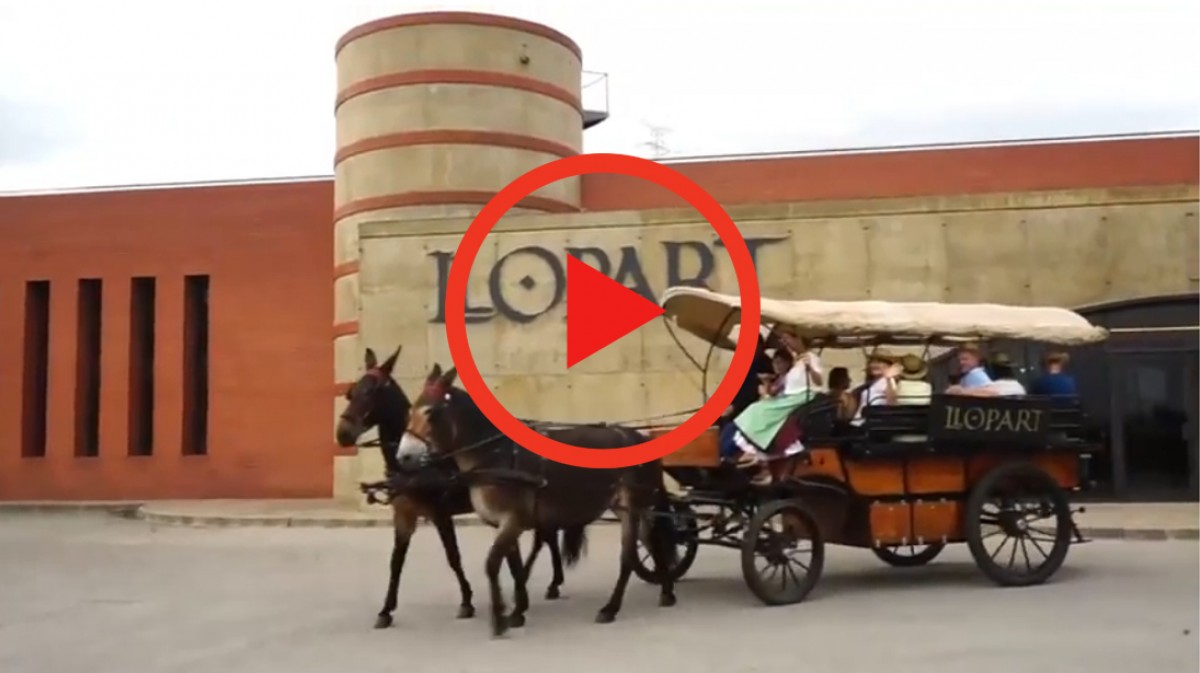 Imatge il·lustrativa