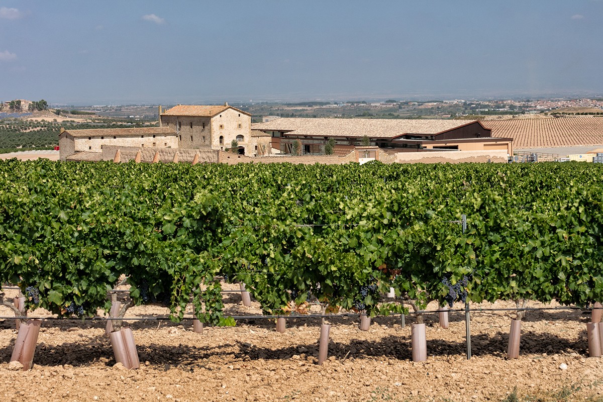 El celler Purgatori s'ha construit rehabilitant el celler dels monjos benedictins de l'Abadia de Montserrat del 1770