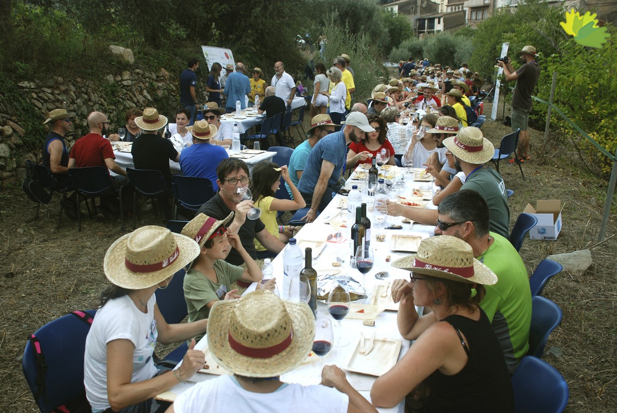 Imatge il·lustrativa