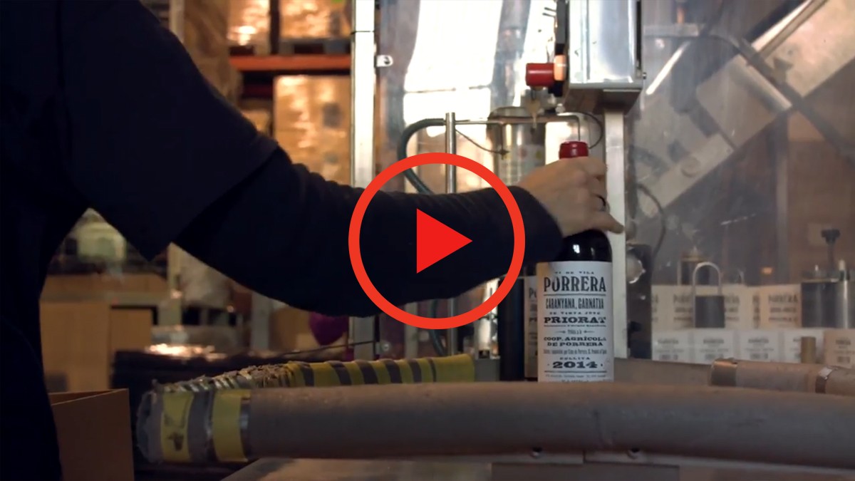 Imatge il·lustrativa