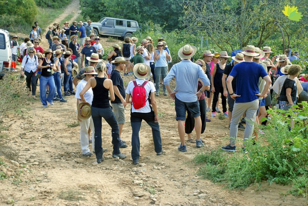 Imatge il·lustrativa