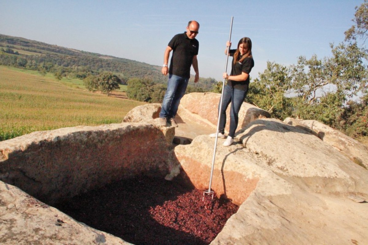 Imatge il·lustrativa