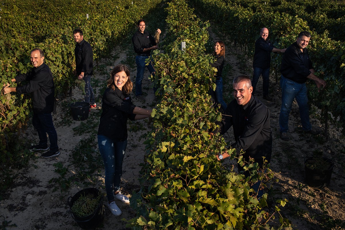 Imatge il·lustrativa