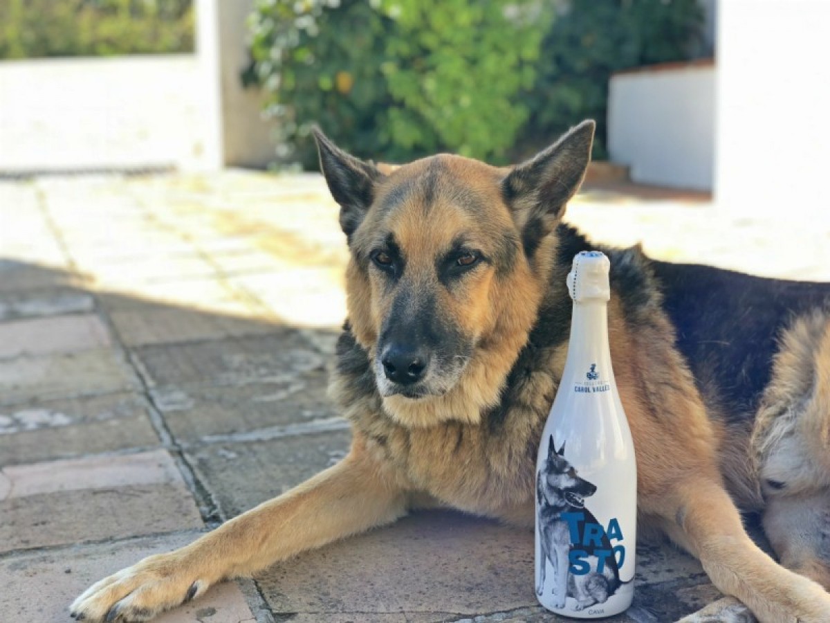 Imatge il·lustrativa