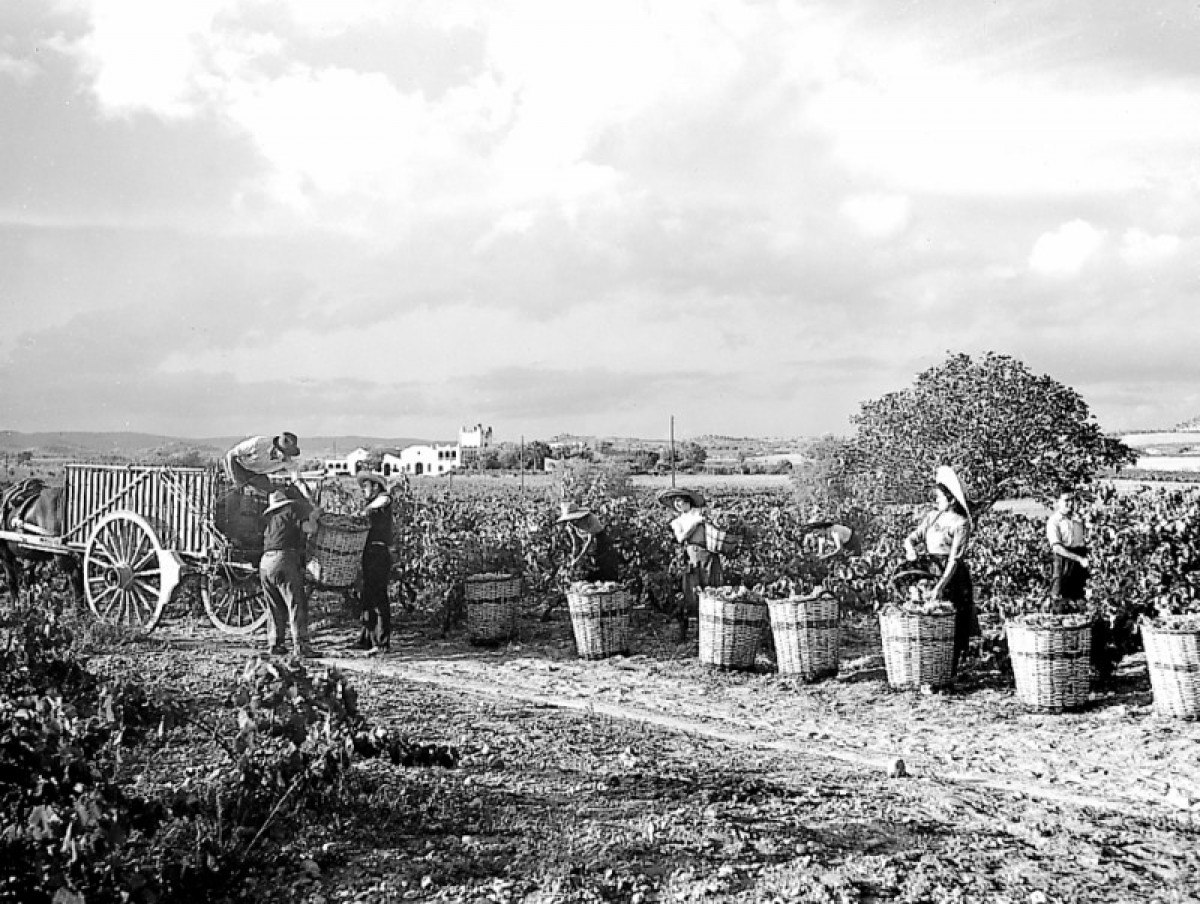 Imatge il·lustrativa