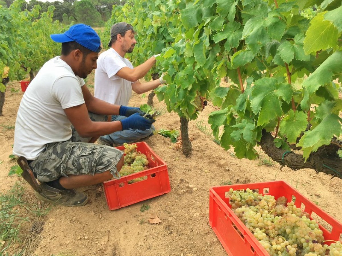 Imatge il·lustrativa