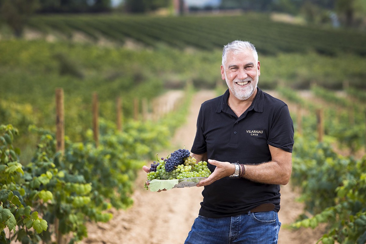 Damià Deàs, enòleg i gerent de Vilarnau