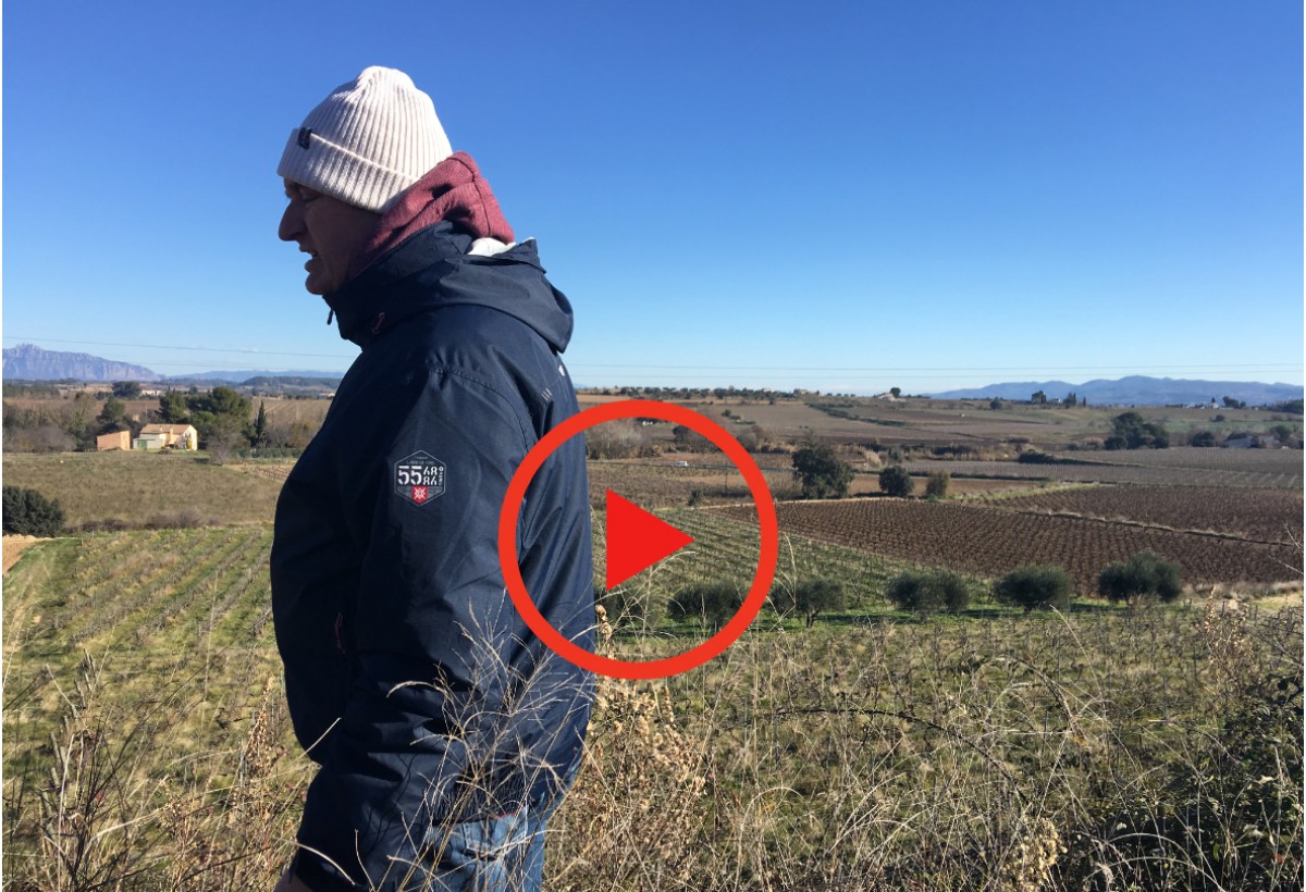 Imatge il·lustrativa