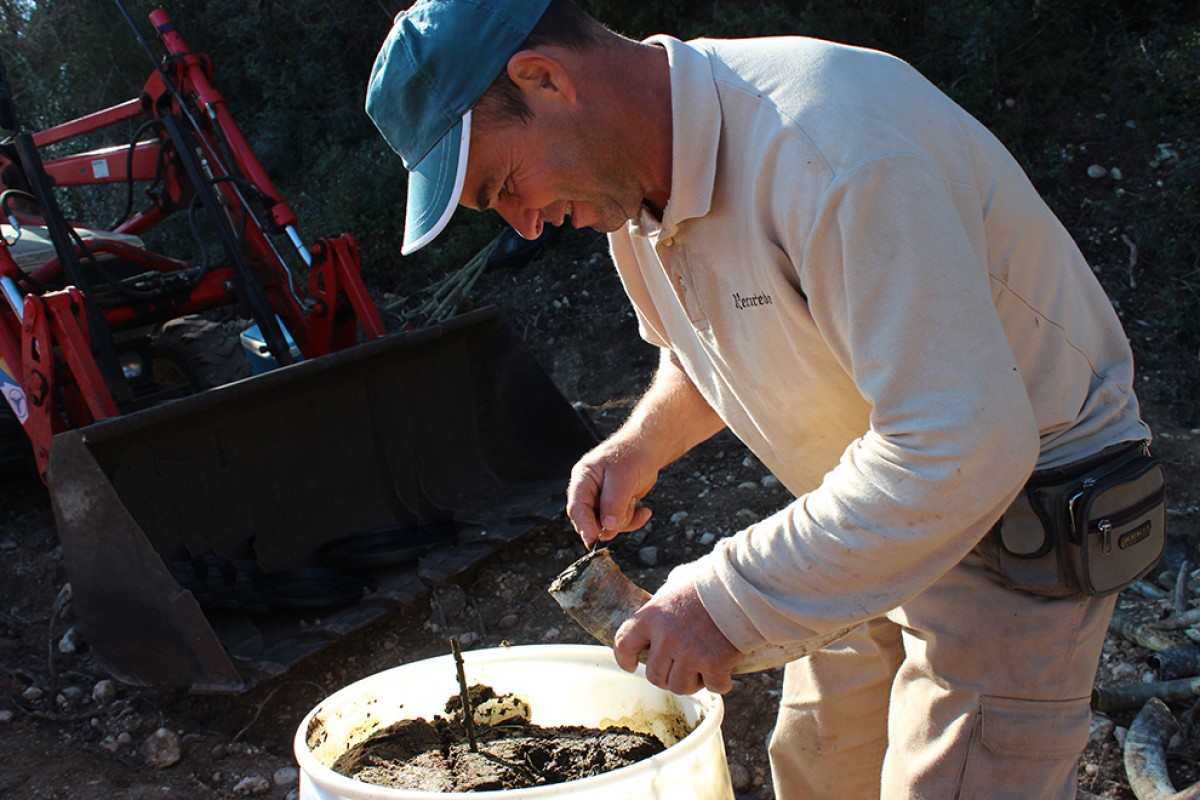 Imatge il·lustrativa