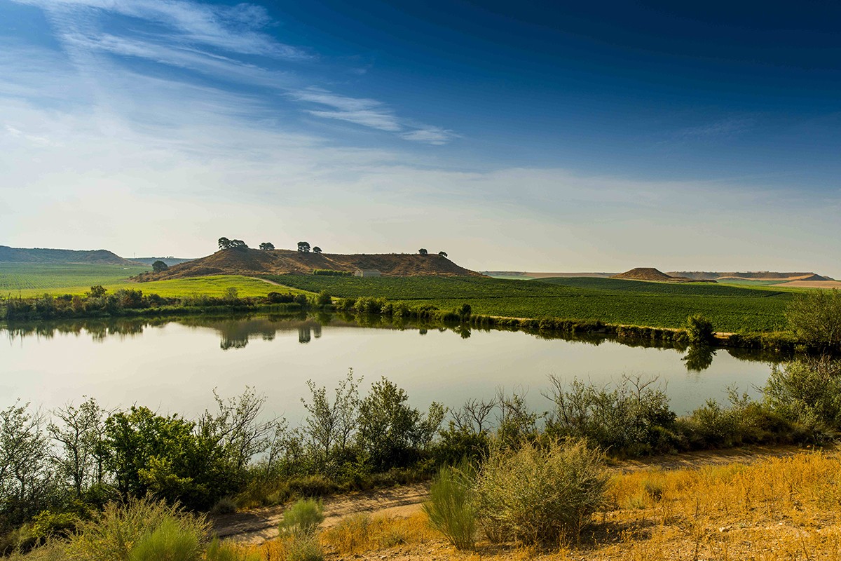 Imatge il·lustrativa