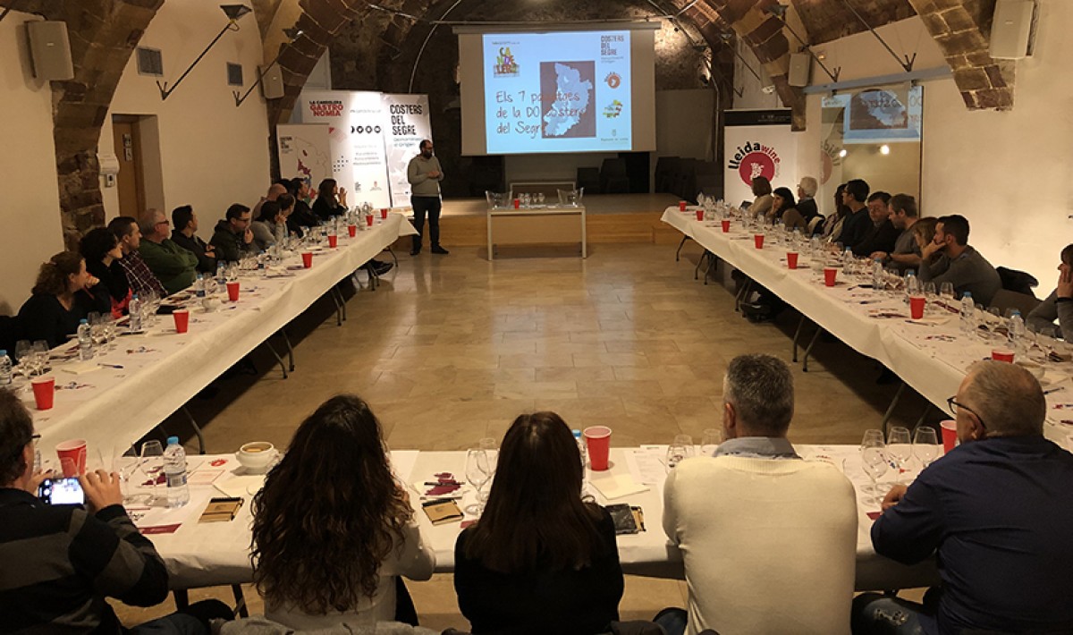 Imatge il·lustrativa