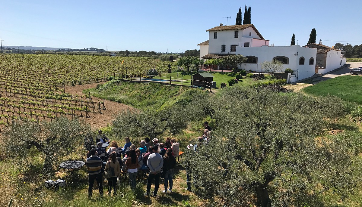 Imatge il·lustrativa