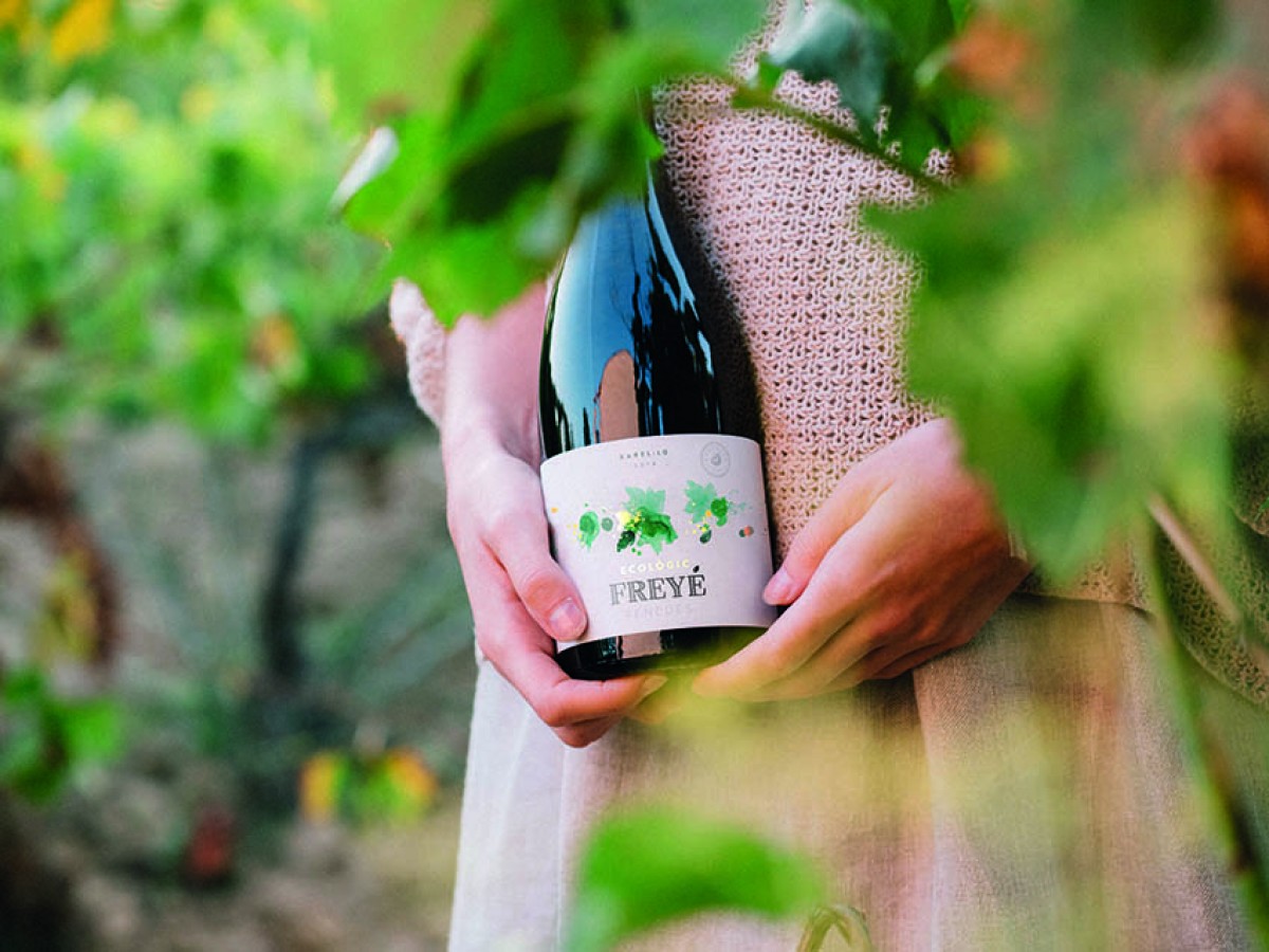 Imatge il·lustrativa