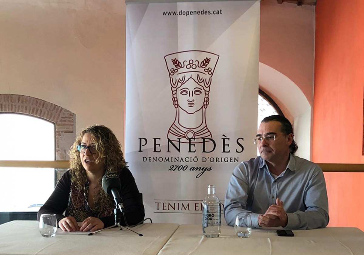 Imatge il·lustrativa