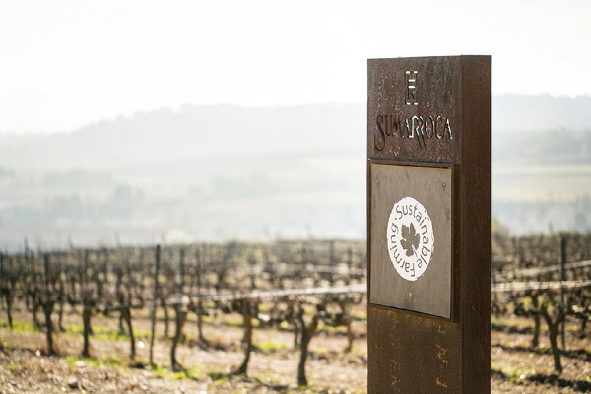 Imatge il·lustrativa