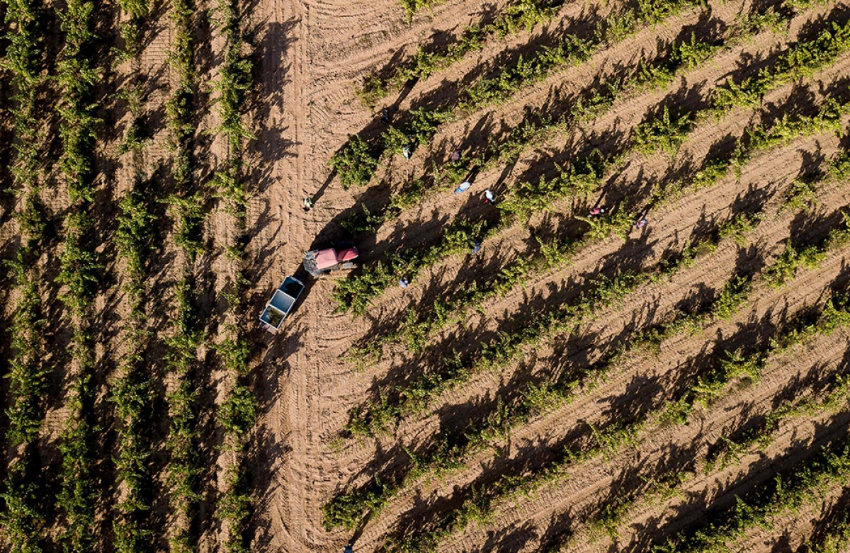 Imatge il·lustrativa