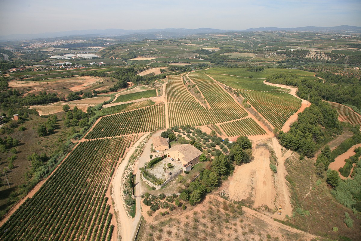 Imatge il·lustrativa