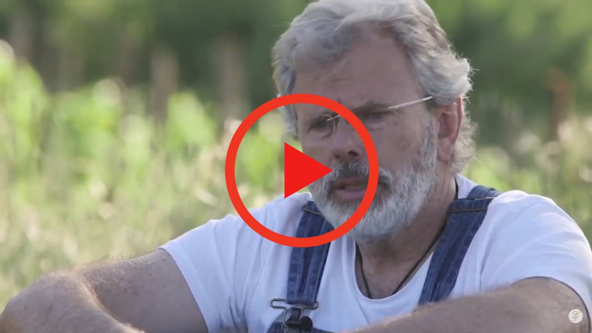 Imatge il·lustrativa