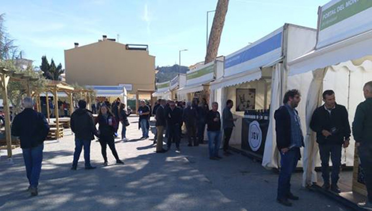 Imatge il·lustrativa