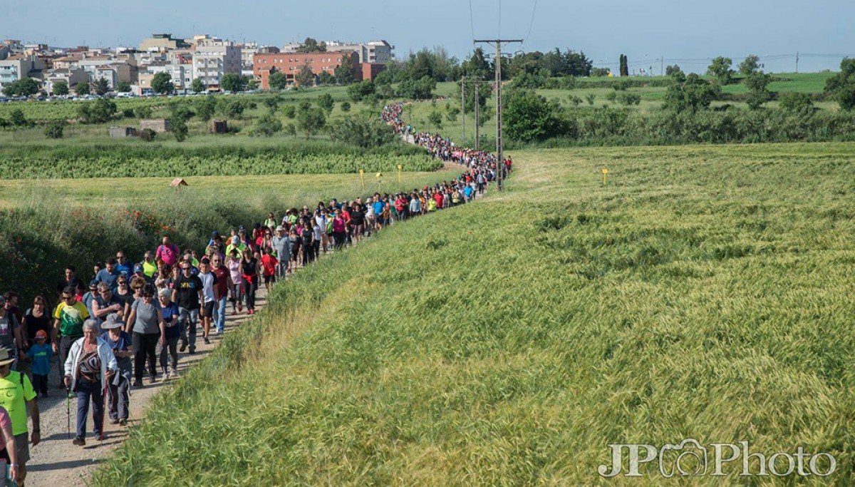 Imatge il·lustrativa