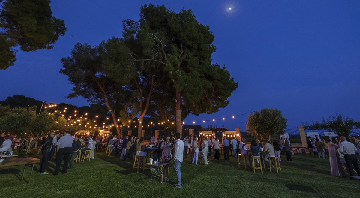 Imatge il·lustrativa